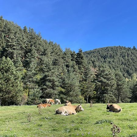 Apartamento La Molina Alp Dış mekan fotoğraf